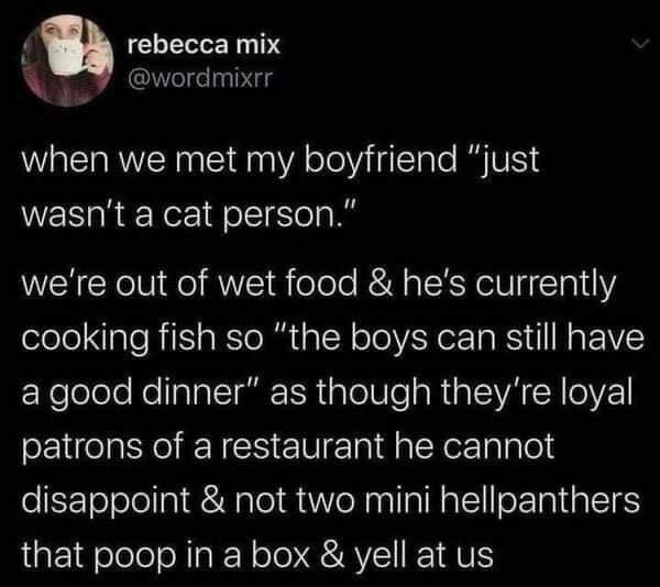 wholesome-posts atmosphere - rebecca mix when we met my boyfriend "just wasn't a cat person." we're out of wet food & he's currently cooking fish so "the boys can still have a good dinner" as though they're loyal patrons of a restaurant he cannot disappoi