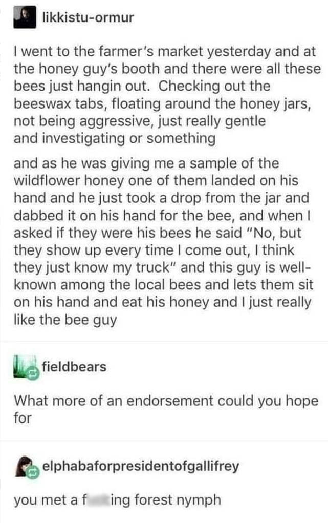 wholesome-posts document - likkistuormur I went to the farmer's market yesterday and at the honey guy's booth and there were all these bees just hangin out. Checking out the beeswax tabs, floating around the honey jars, not being aggressive, just really g