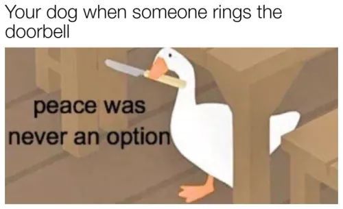 funny gaming memes - water bird - Your dog when someone rings the doorbell peace was never an option