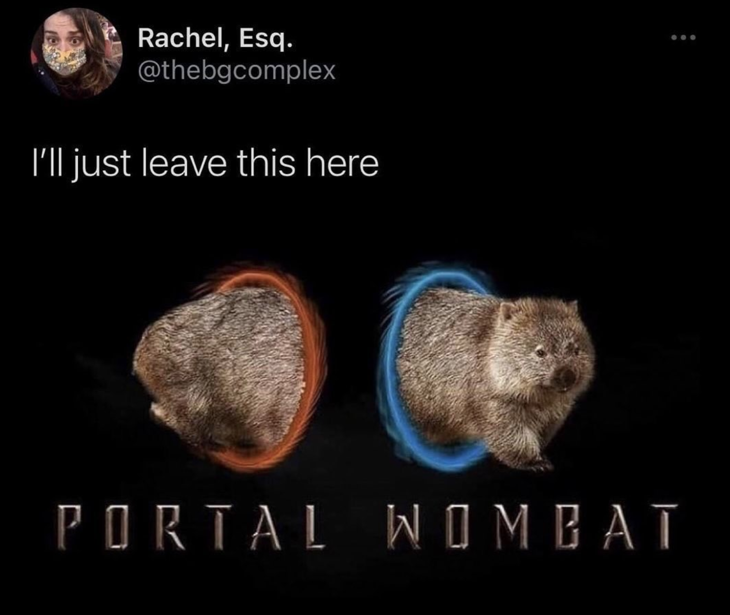 funny gaming memes - portal wombat - Rachel, Esq. I'll just leave this here Portal Wimbat