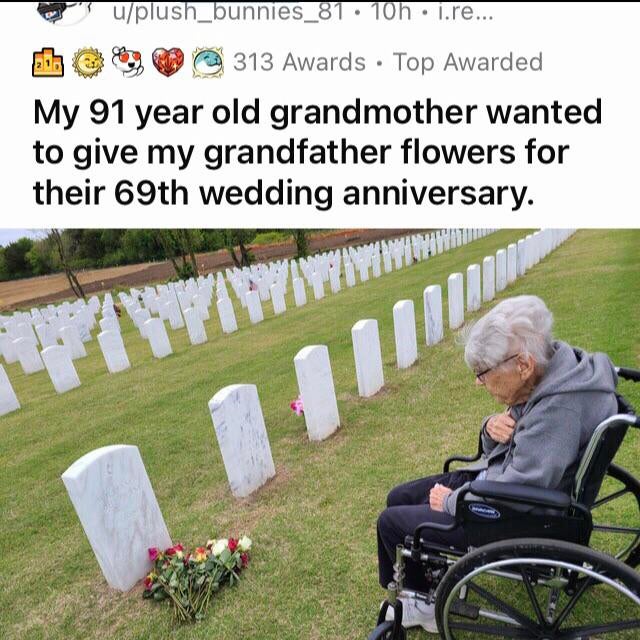 wholesome memes - grass - uplush_bunnies_81 10h1.re... 313 Awards . Top Awarded My 91 year old grandmother wanted to give my grandfather flowers for their 69th wedding anniversary.