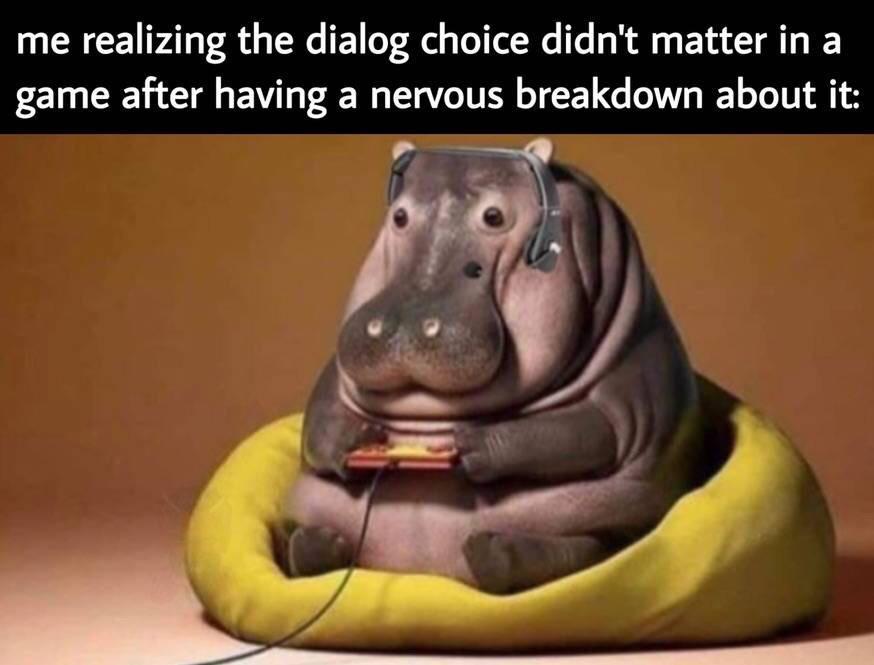 funny gaming memes - hippo video game - me realizing the dialog choice didn't matter in a game after having a nervous breakdown about it