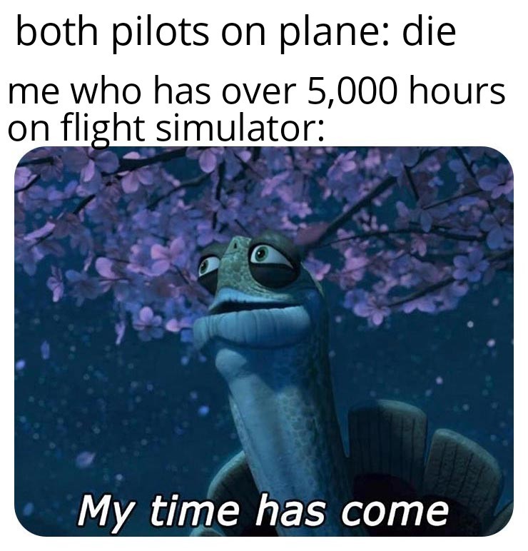 funny gaming memes - can die peacefully now meme - both pilots on plane die me who has over 5,000 hours on flight simulator My time has come