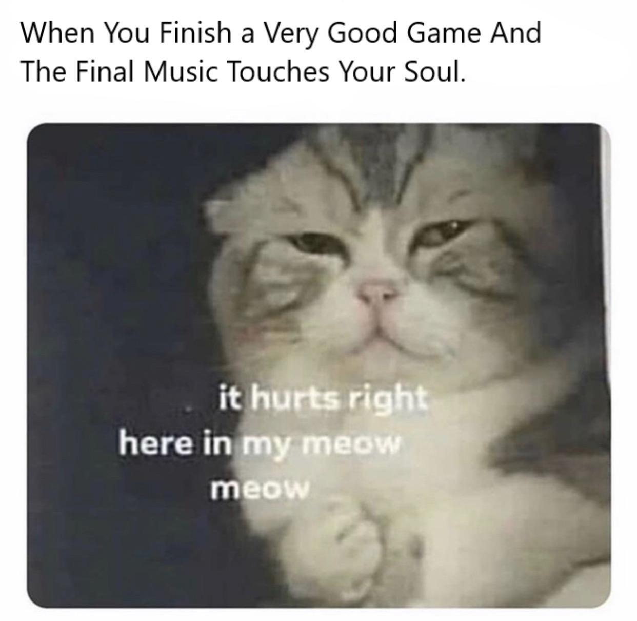 funny gaming memes - hurts in my meow meow - When You Finish a Very Good Game And The Final Music Touches Your Soul. it hurts right here in my meow meow