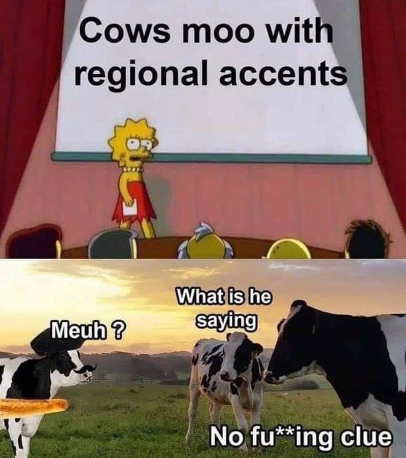 funny gaming memes - french cow meme - Cows moo with regional accents What is he saying Meuh? No fuing clue