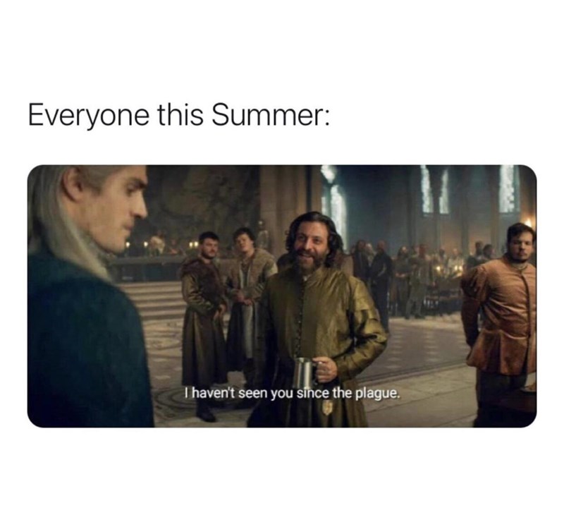 funny gaming memes - summer meme - Everyone this Summer I haven't seen you since the plague.