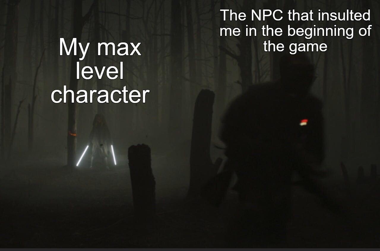 funny gaming memes - darkness - The Npc that insulted me in the beginning of the game My max level character