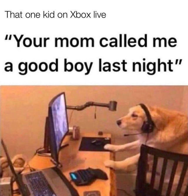 dog with big pp - That one kid on Xbox live "Your mom called me a good boy last night"