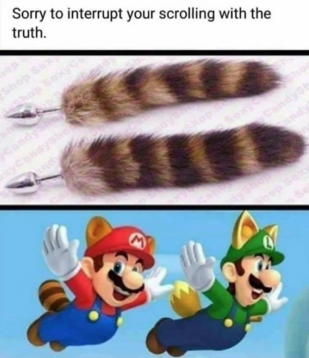 funny gaming memes - mario luigi butt plug - Sorry to interrupt your scrolling with the truth.
