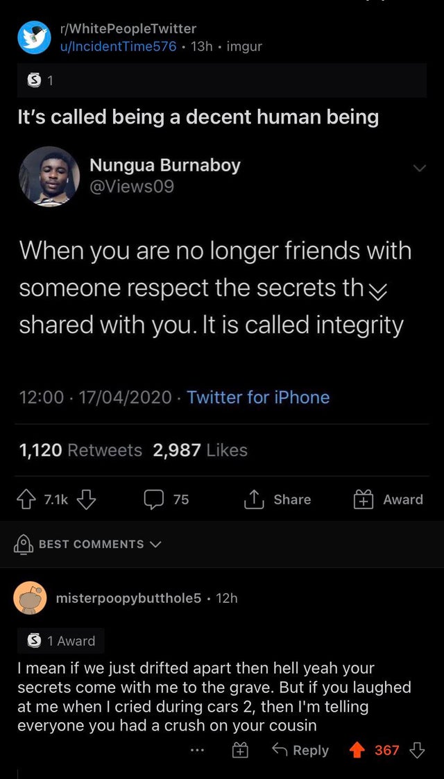 dark-memes screenshot - rWhite PeopleTwitter uIncidentTime576 13h.imgur 31 It's called being a decent human being Nungua Burnaboy When you are no longer friends with someone respect the secrets thy d with you. It is called integrity 17042020 Twitter for i