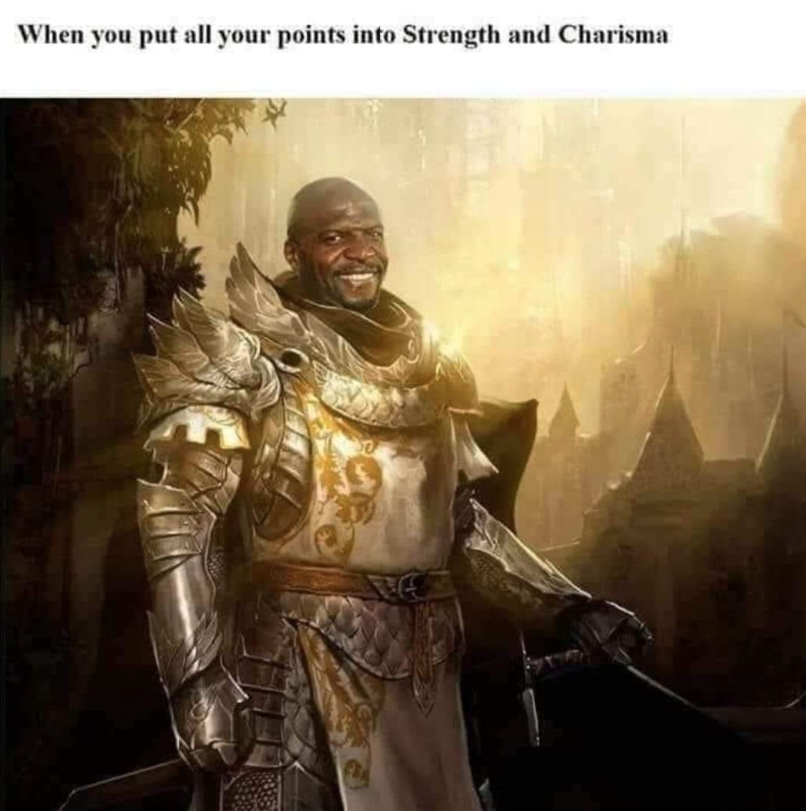 funny gaming memes - you put all your points into strength - When you put all your points into Strength and Charisma