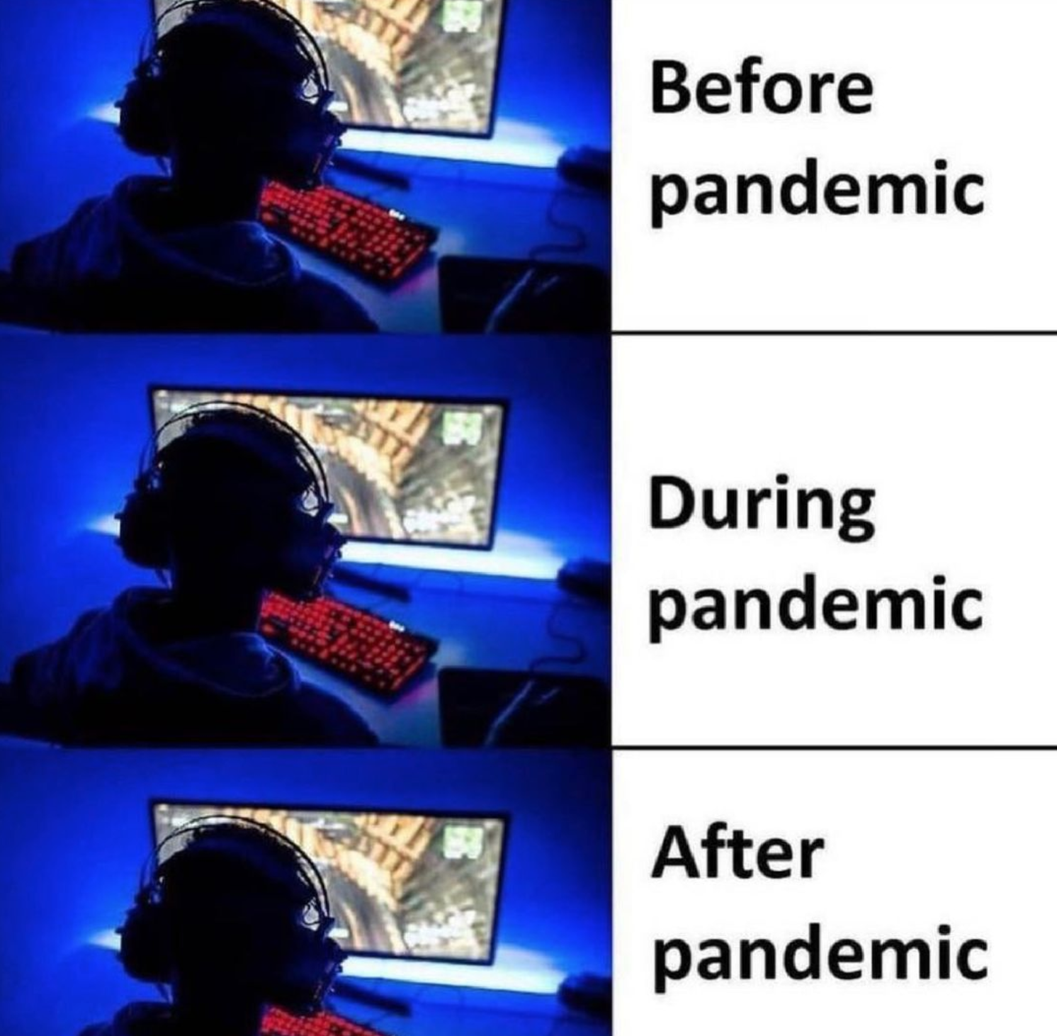 funny gaming memes - communication - Before pandemic During pandemic After pandemic