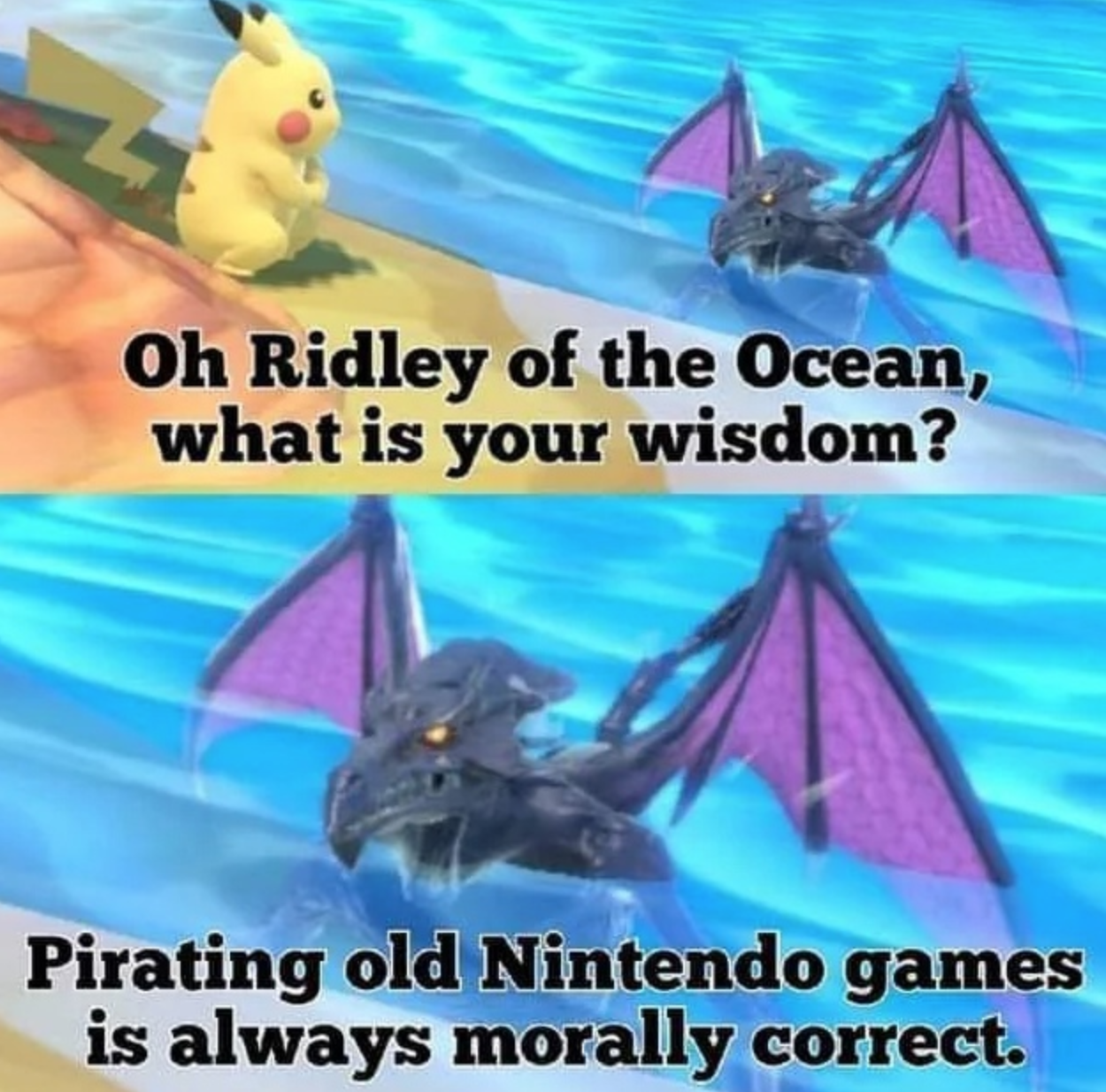 funny gaming memes - fauna - Oh Ridley of the Ocean, what is your wisdom? Pirating old Nintendo games is always morally correct.