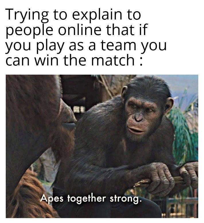 funny gaming memes -  apes together strong meme - Trying to explain to people online that if you play as a team you can win the match Apes together strong.