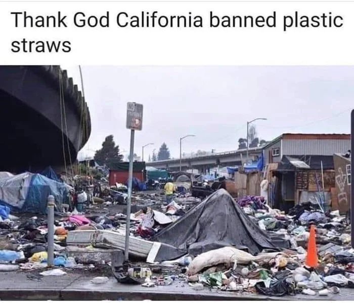 thank god california banned plastic straws - Thank God California banned plastic straws 1030