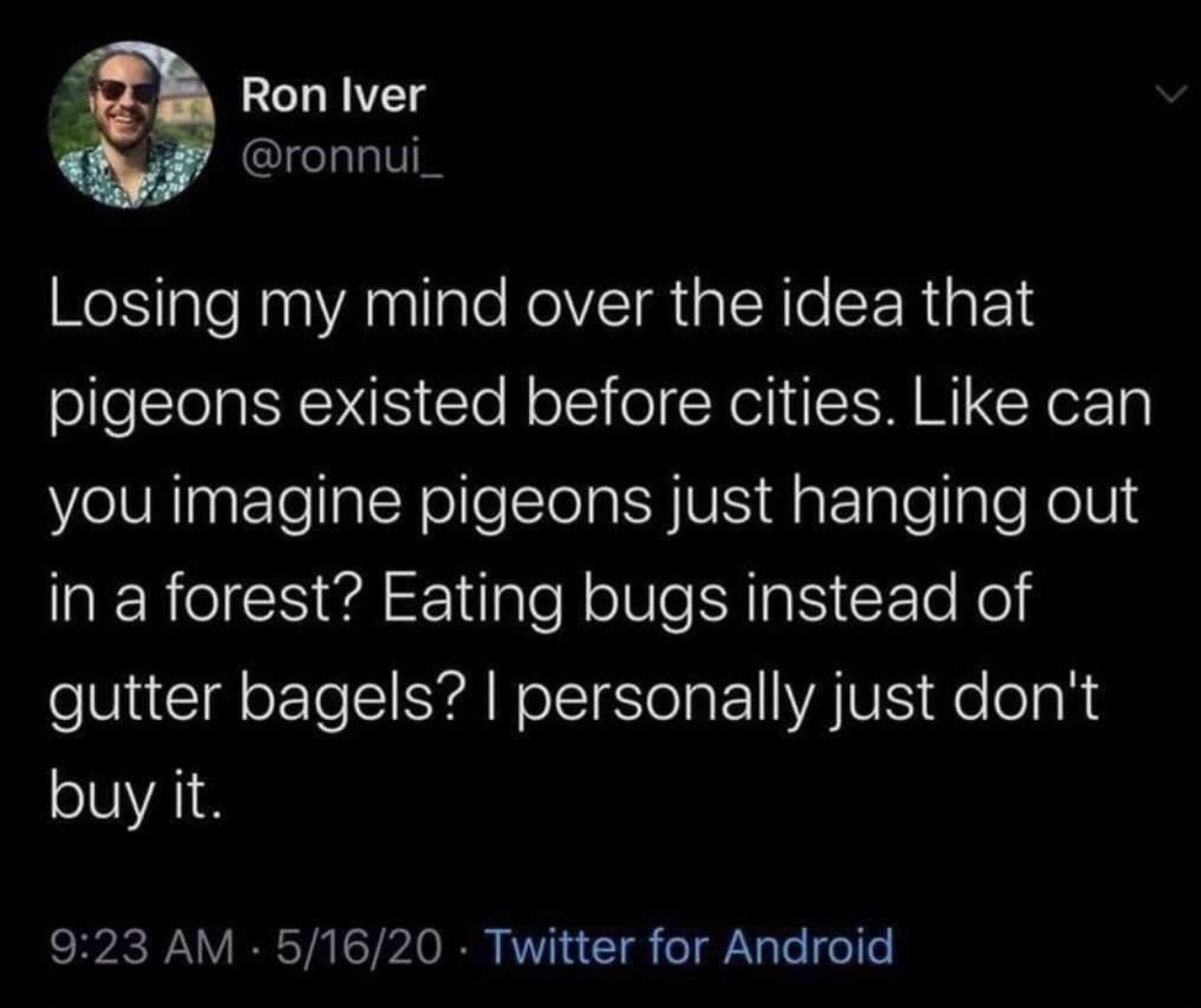 batman henchman meme - Ron Iver Losing my mind over the idea that pigeons existed before cities. can you imagine pigeons just hanging out in a forest? Eating bugs instead of gutter bagels? I personally just don't buy it. 51620 Twitter for Android
