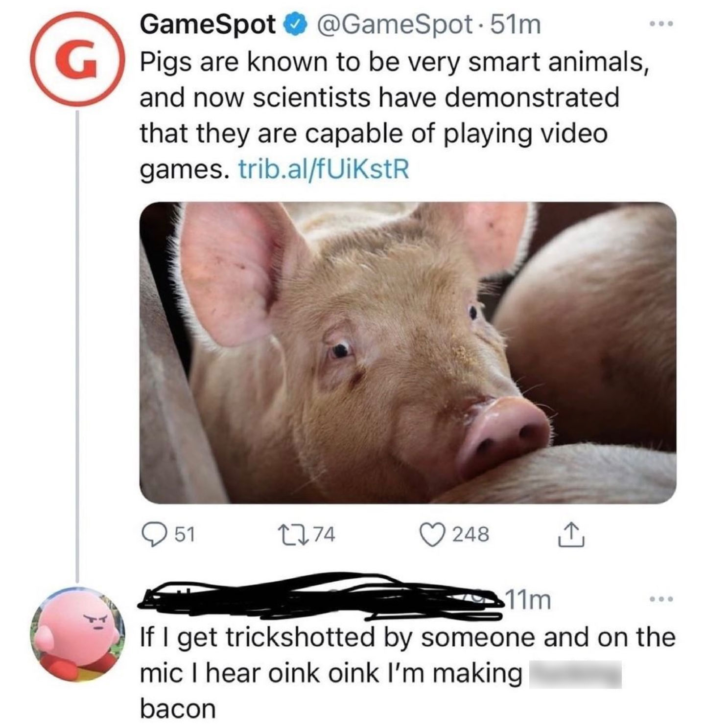 funny gaming memes - fauna - GameSpot . 51m G Pigs are known to be very smart animals, and now scientists have demonstrated that they are capable of playing video games. trib.alfUikstR 51 2274 248 1 11m If I get trickshotted by someone and on the mic I he