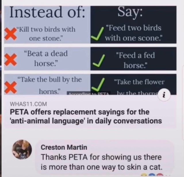 dark-memes Instead of Say Kill two birds with one stone." "Feed two birds with one scone." "Feed a fed X X X "Beat a dead horse." horse." "Take the bull by the "Take the flower horns." Accordioc. Deta by the thorns i WHAS11.Com Peta offers replacement say