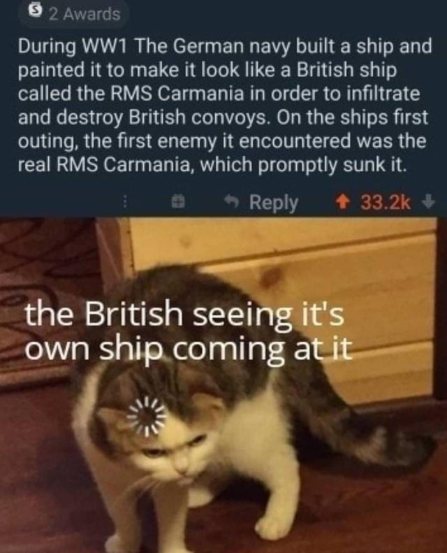 dark-memes my cat wondering how i committed more war crimes than him - 2 Awards During WW1 The German navy built a ship and painted it to make it look a British ship called the Rms Carmania in order to infiltrate and destroy British convoys. On the ships 