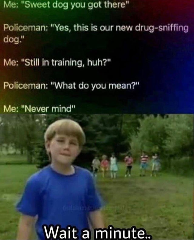 dark-memes wait a minute meme - Me "Sweet dog you got there" Policeman "Yes, this is our new drugsniffing dog." Me "Still in training, huh?" Policeman "What do you mean?" Me "Never mind" Wait a minute..