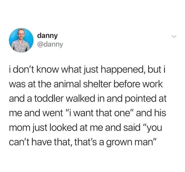 wholesome-posts document - danny i don't know what just happened, but i was at the animal shelter before work and a toddler walked in and pointed at me and went "i want that one" and his mom just looked at me and said "you can't have that, that's a grown 