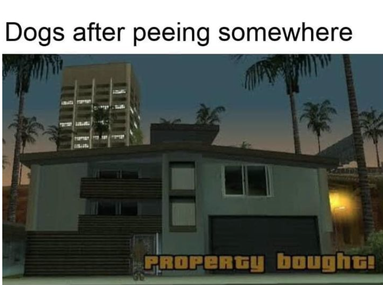funny gaming memes - condominium - Dogs after peeing somewhere PROPERty bought!