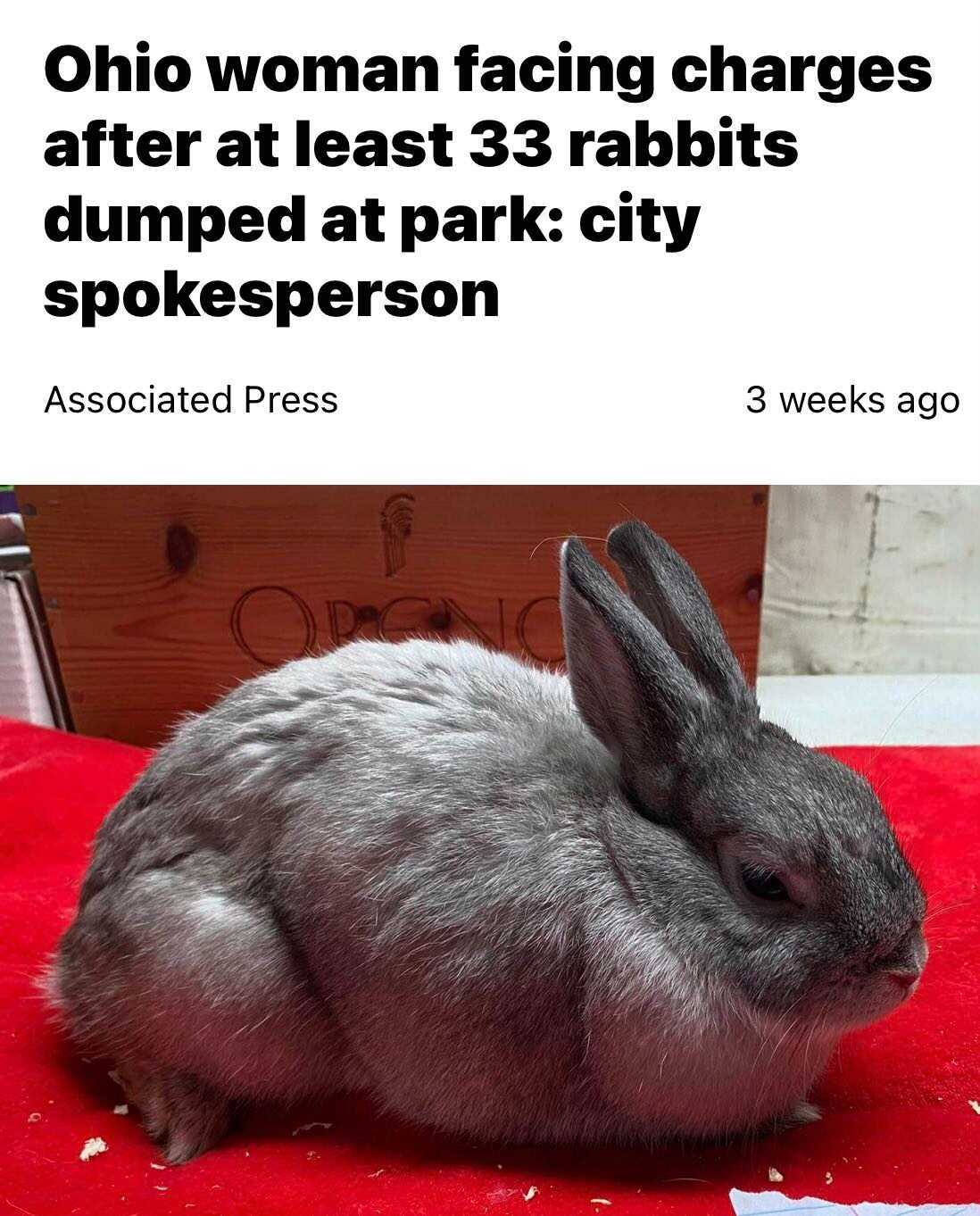 fauna - Ohio woman facing charges after at least 33 rabbits dumped at park city spokesperson Associated Press 3 weeks ago O