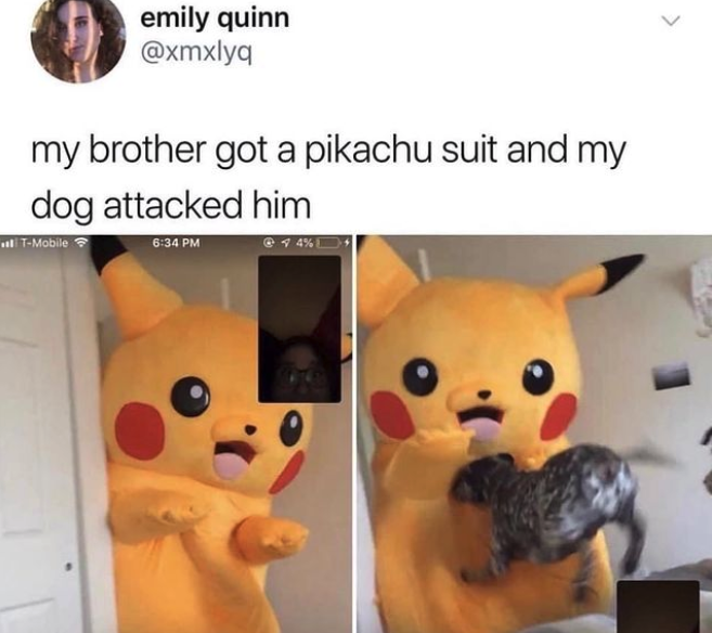 funny gaming memes - pikachu suit meme - emily quinn my brother got a pikachu suit and my dog attacked him TMobile