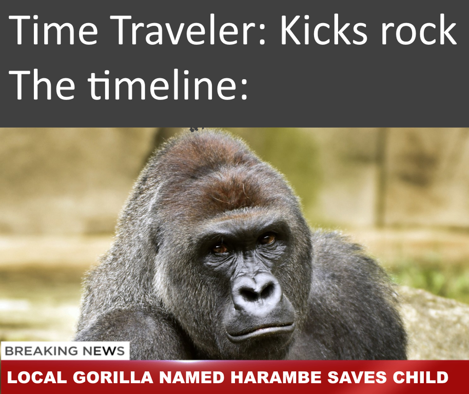 funny memes - starbucks - Time Traveler Kicks rock The timeline Breaking News Local Gorilla Named Harambe Saves Child