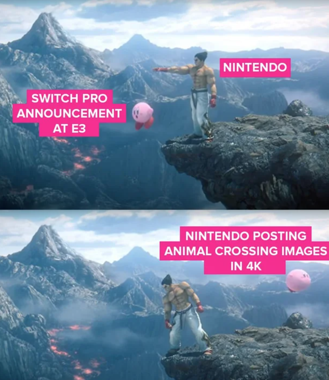 funny gaming memes - nature - Nintendo Switch Pro Announcement At E3 Nintendo Posting Animal Crossing Images In 4K