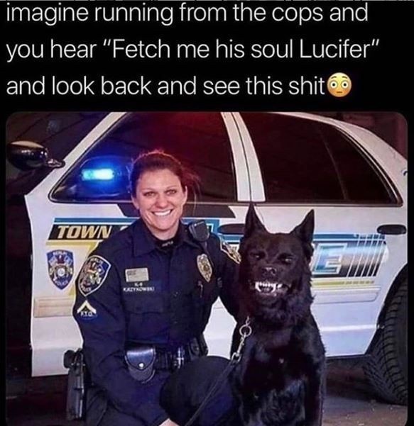 dark-memes fetch me his soul lucifer - imagine running from the cops and you hear