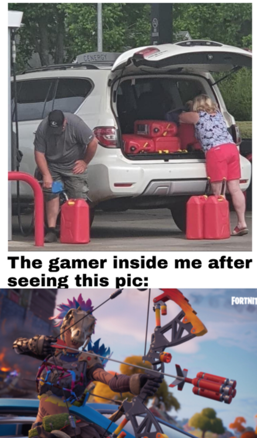 funny gaming memes - gas hoarding meme - The gamer inside me after seeing this pic Fortni