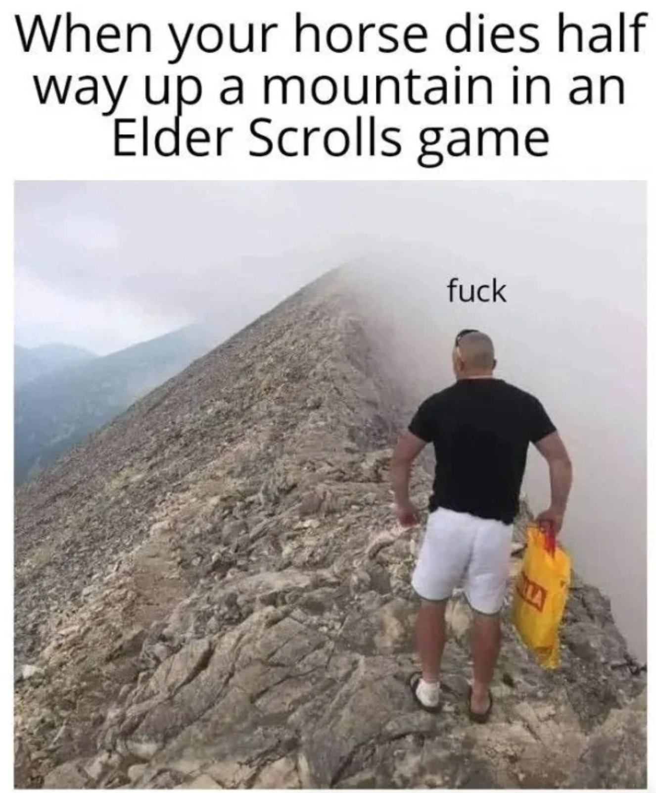 funny gaming memes - soil - When your horse dies half way up a mountain in an Elder Scrolls game fuck