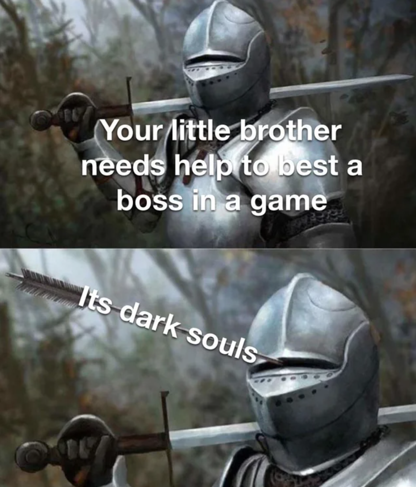 funny gaming memes - philosophy memes - Your little brother needs help to best a boss in a game Its dark souls