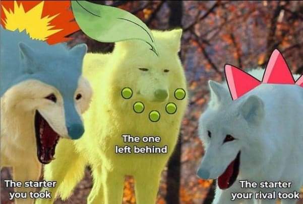 funny gaming memes  --  chikorita memes - The one left behind The starter you took The starter your rival took