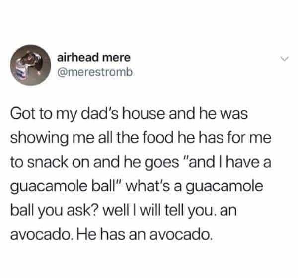 posts panic at the disco - airhead mere Got to my dad's house and he was showing me all the food he has for me to snack on and he goes "and I have a guacamole ball" what's a guacamole ball you ask? well I will tell you. an avocado. He has an avocado.