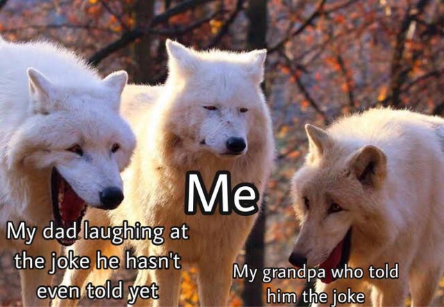 wolf meme template - Me My dad laughing at the joke he hasn't even told yet My grandpa who told him the joke
