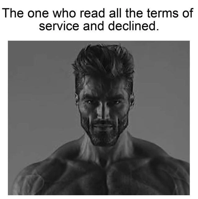 funny gaming memes - average enjoyer meme - The one who read all the terms of service and declined.