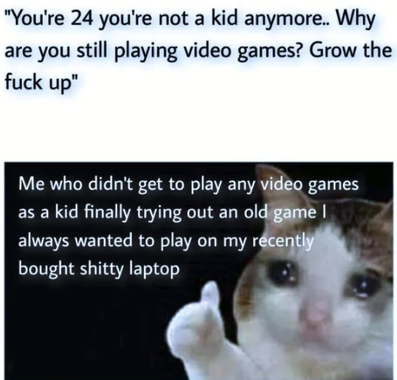 funny gaming memes - aqeta - "You're 24 you're not a kid anymore.. Why are you still playing video games? Grow the fuck up" Me who didn't get to play any video games as a kid finally trying out an old game! always wanted to play on my recently bought shit