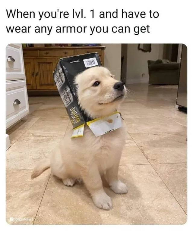 funny gaming memes - bamboozled doggo memes - When you're lvl. 1 and have to wear any armor you can get