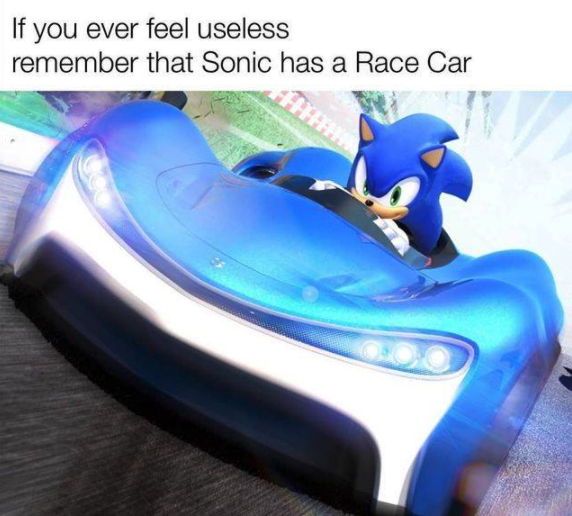 funny gaming memes - team sonic racing - If you ever feel useless remember that Sonic has a Race Car