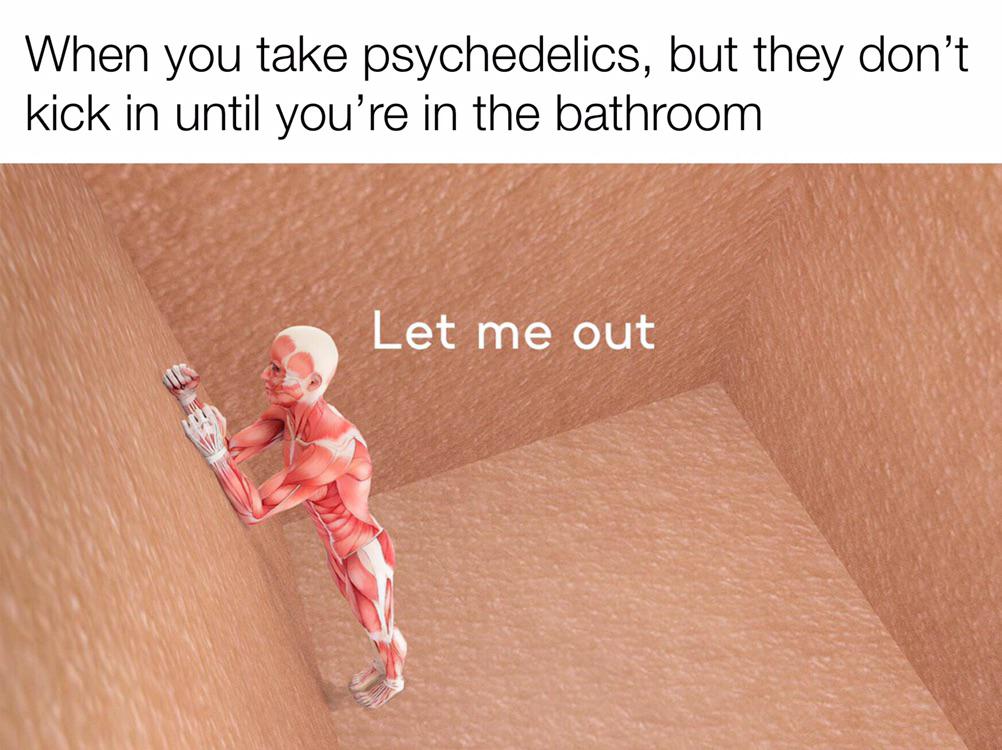 dank memes and pics - When you take psychedelics, but they don't kick in until you're in the bathroom Let me out