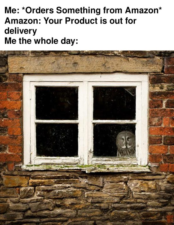 dank memes and pics - introvert humour - Me Orders Something from Amazon Amazon Your Product is out for delivery Me the whole day