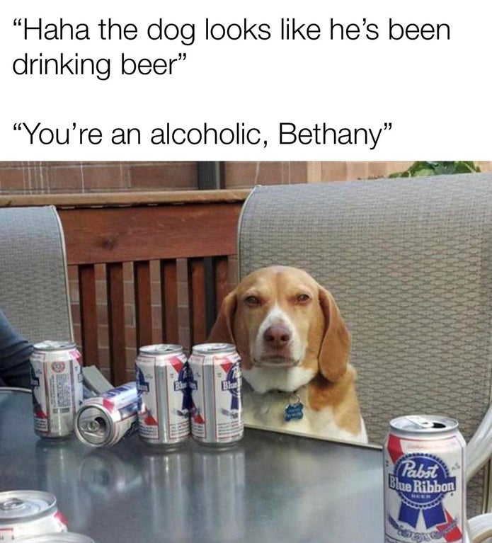 dank memes and pics - dave memes funny - "Haha the dog looks he's been drinking beer" "You're an alcoholic, Bethany Blue Pabst Blue Ribbon