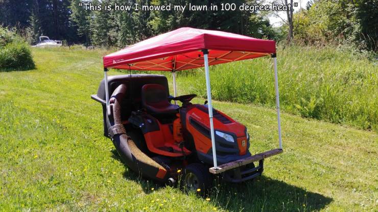 awesome random pics and photos - grass - "This is how I mowed my lawn in 100 degree heat."