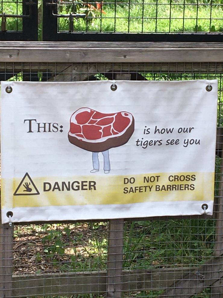 awesome random pics and photos - zsl london zoo - This is how our tigers see you Danger Do Not Cross Safety Barriers