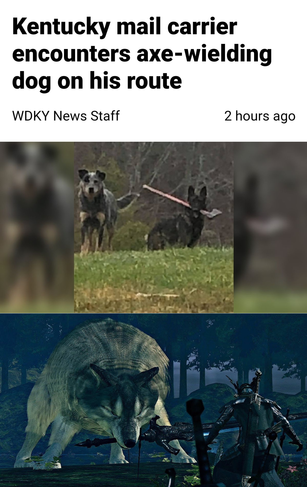 funny gaming memes - kentucky mail carrier axe dog - Kentucky mail carrier encounters axewielding dog on his route Wdky News Staff 2 hours ago