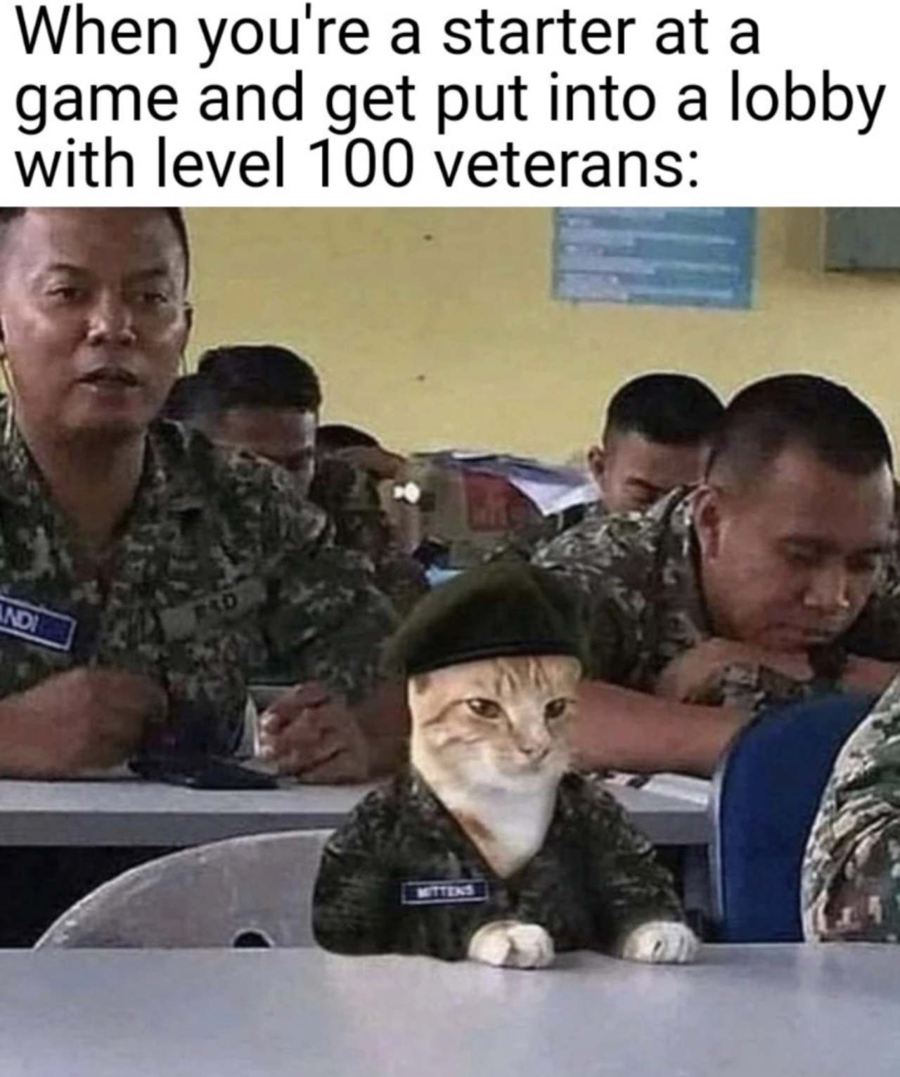 funny gaming memes - sad soldier cat - When you're a starter at a game and get put into a lobby with level 100 veterans Ind