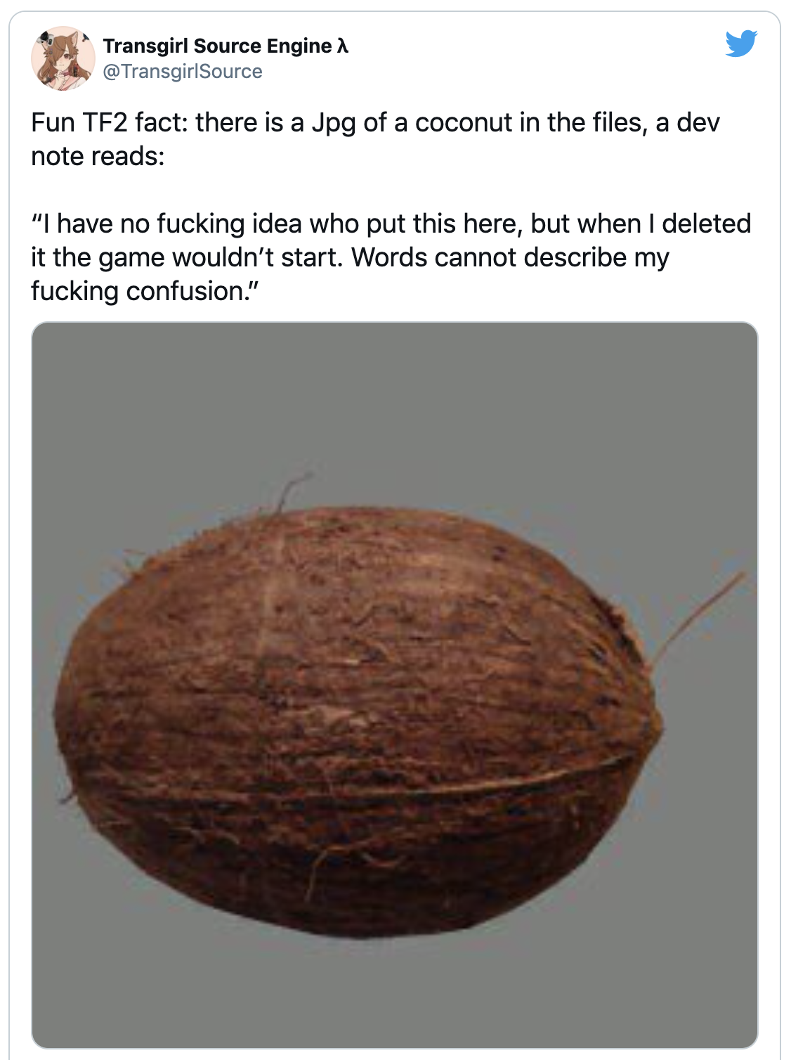 funny gaming memes - tf2 coconut jpg - Transgirl Source Engine TransgirlSource Fun TF2 fact there is a Jpg of a coconut in the files, a dev note reads "I have no fucking idea who put this here, but when I deleted it the game wouldn't start. Words cannot d