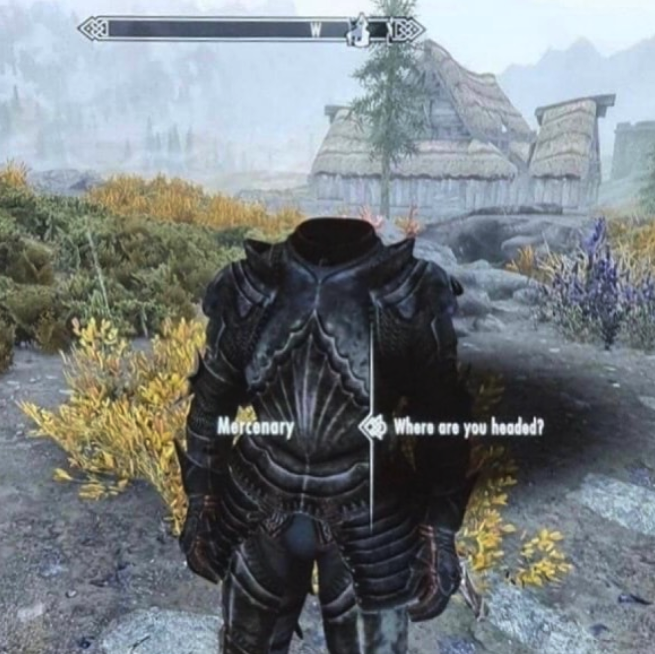 funny gaming memes - armour - Merconery Where are you hooded?